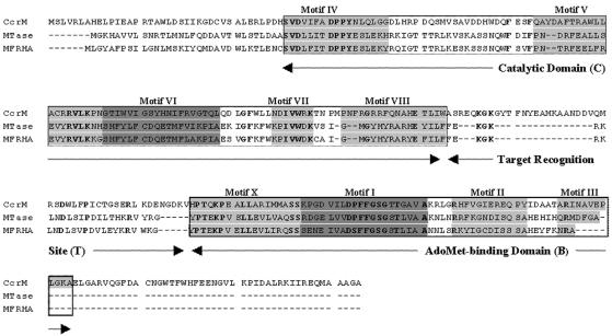 FIG.2.