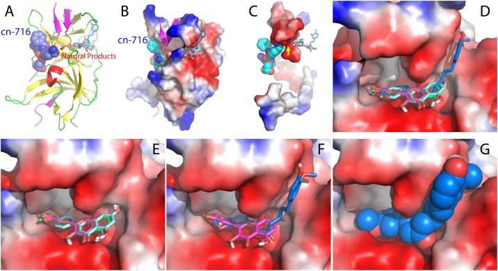 Fig 4