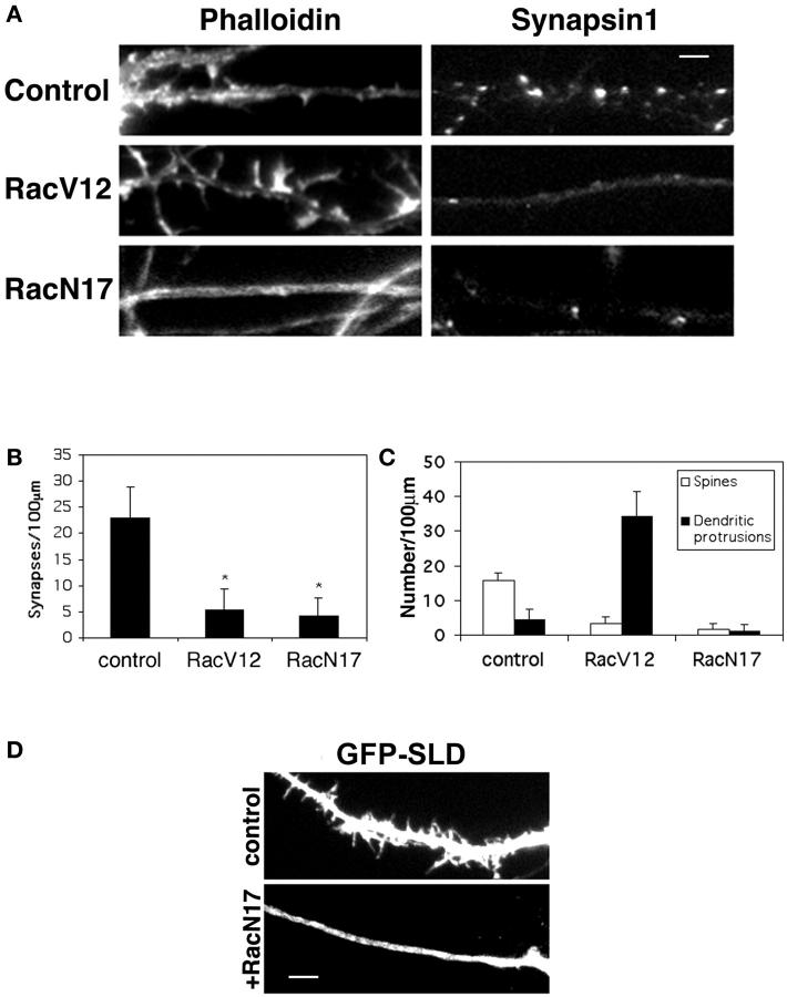 Figure 7.