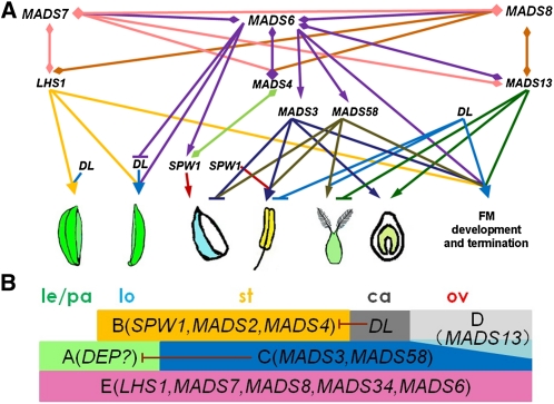 Figure 11.