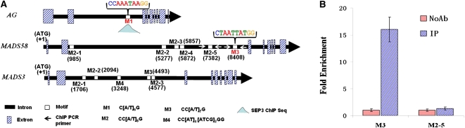 Figure 10.