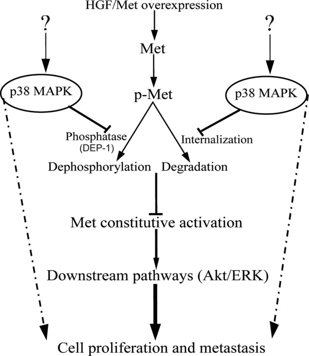 FIGURE 9.