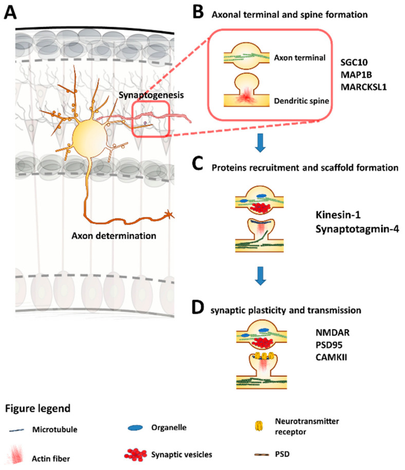 Figure 6