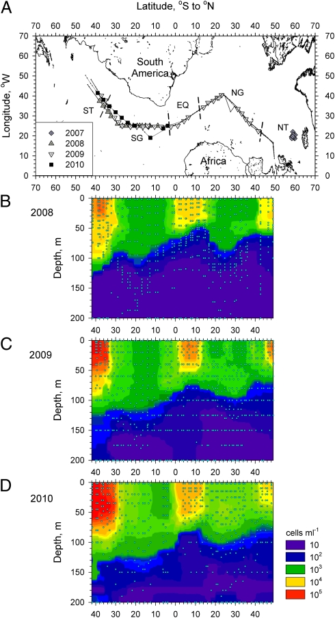 Fig. 1.