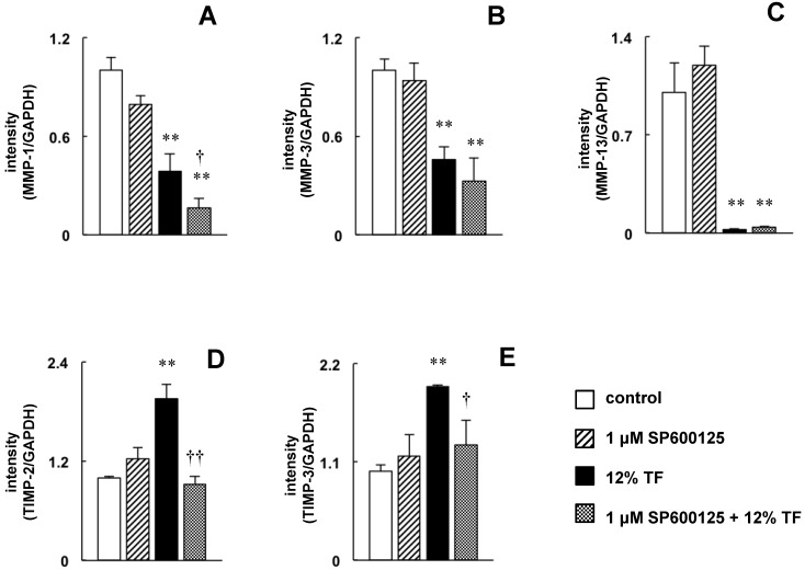 Fig 7