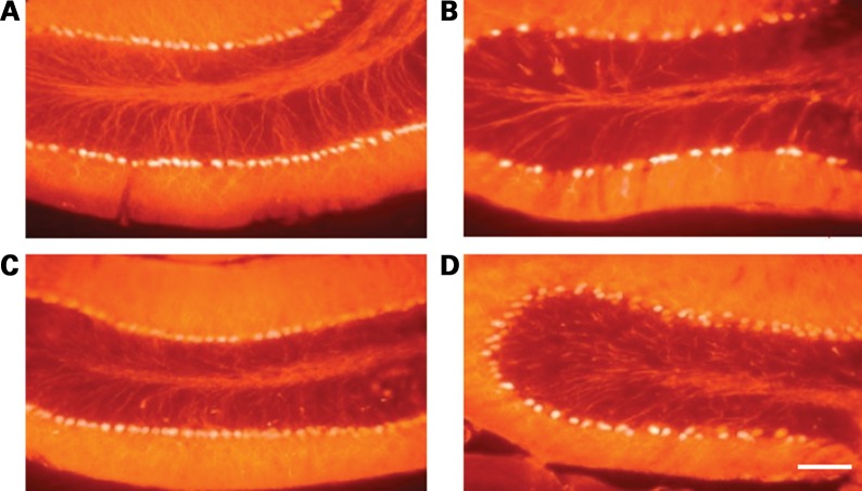 Figure 5.