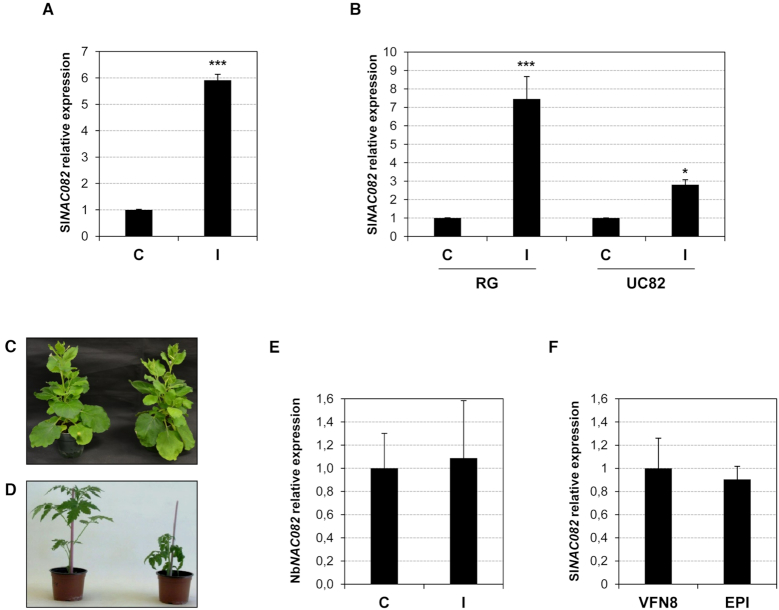 Figure 6.