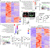 Extended Data Figure 9.