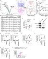 Extended Data Figure 7.