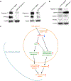 Extended Data Figure 10.