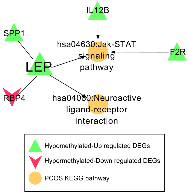 Figure 6.