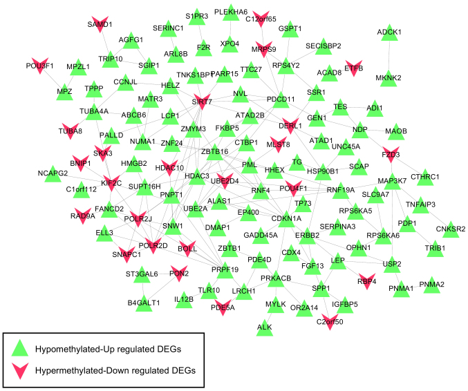 Figure 4.