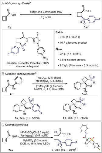 Scheme 3