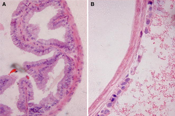 Fig. 5