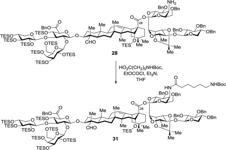 Fig. 12