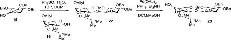 Fig. 8