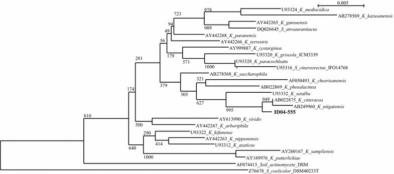 Fig. 2