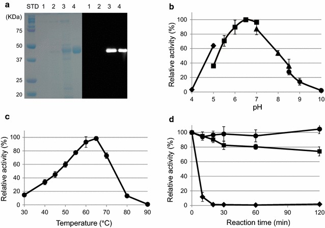 Fig. 4