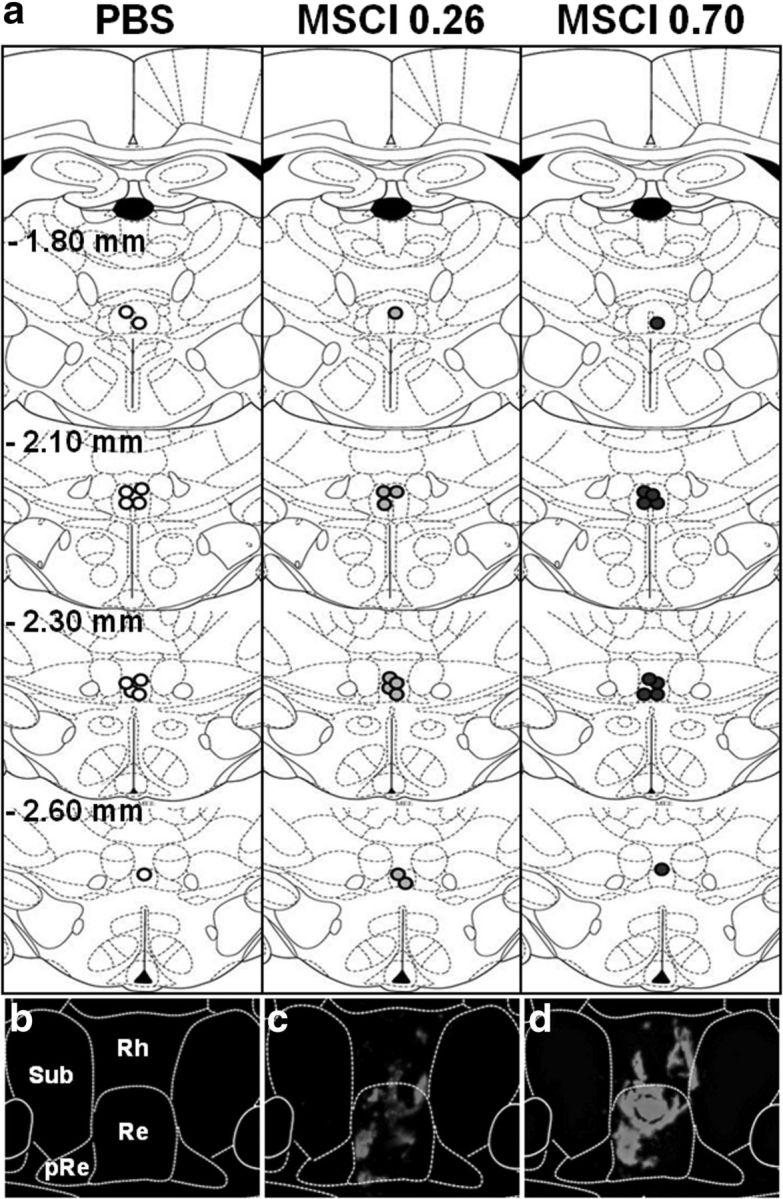 Figure 6.