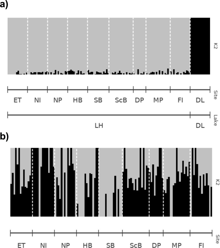 Fig 10