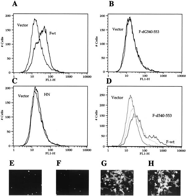 FIG. 8.