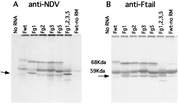 FIG. 4.