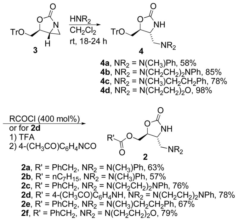 Scheme 1