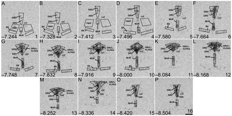 Figure 3.