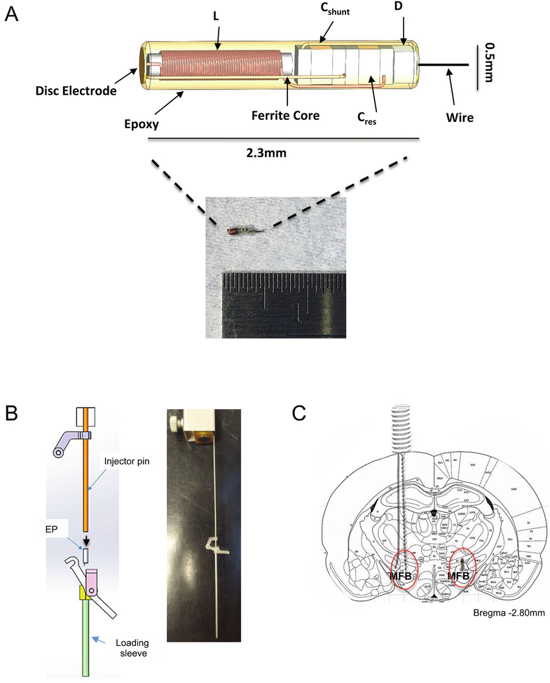 Figure 1.