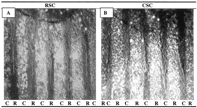 Fig. 9.