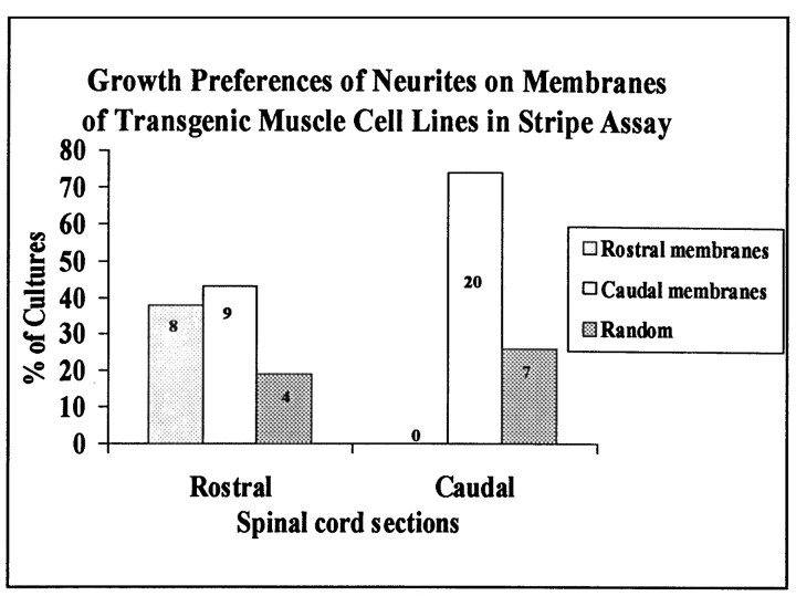 Fig. 10.