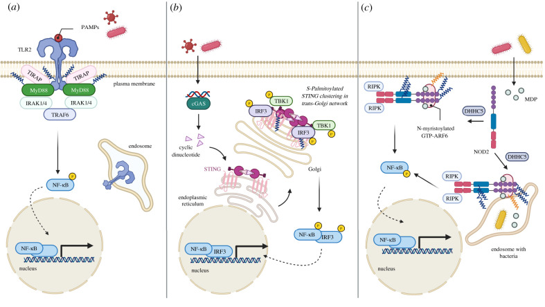 Figure 4. 