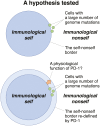 Graphical Abstract
