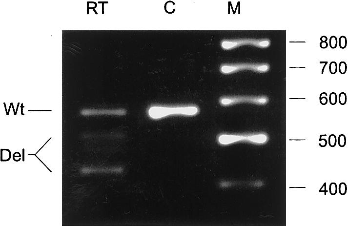 Figure  4