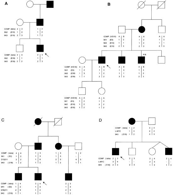 Figure  2