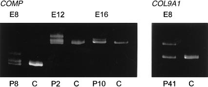 Figure  3