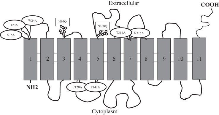 Fig. 1.