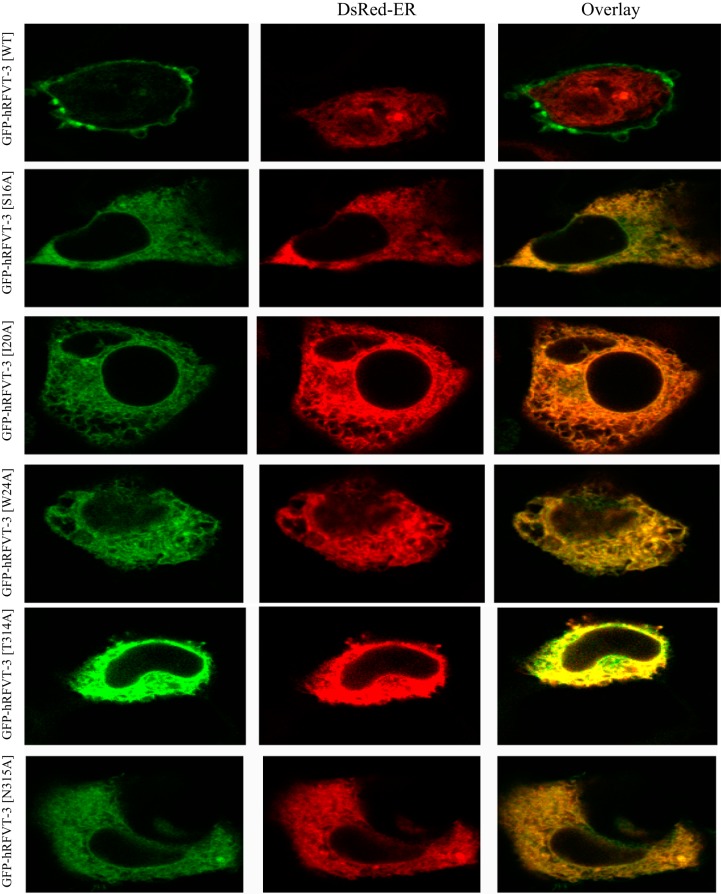 Fig. 9.