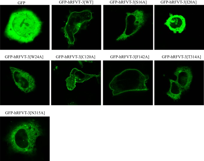 Fig. 8.