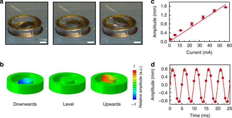 Fig. 3