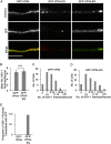 FIG 6