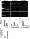 FIG 5