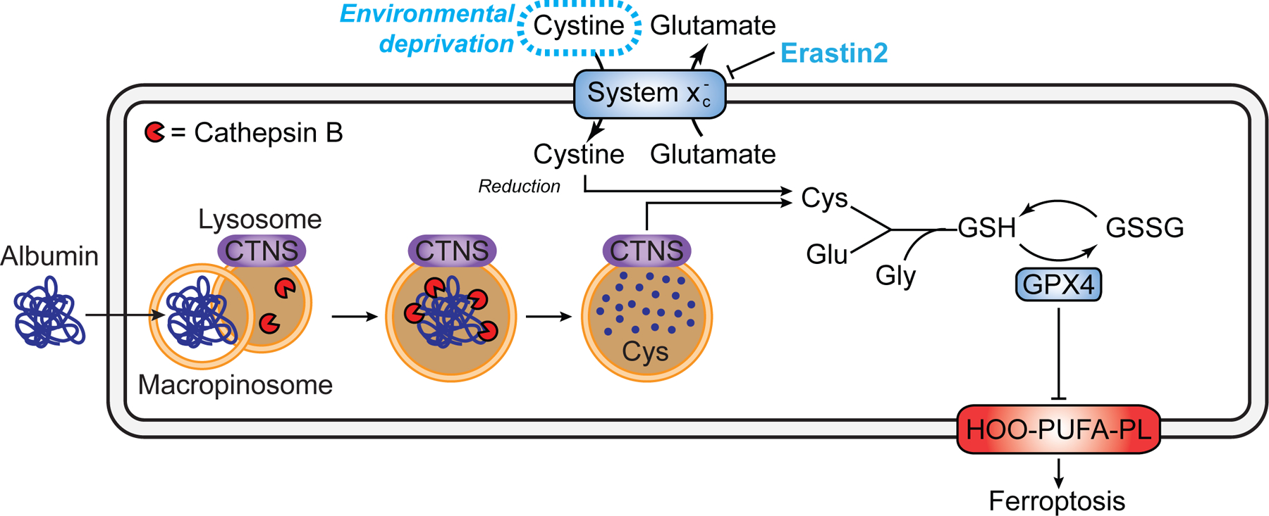 Figure 7.