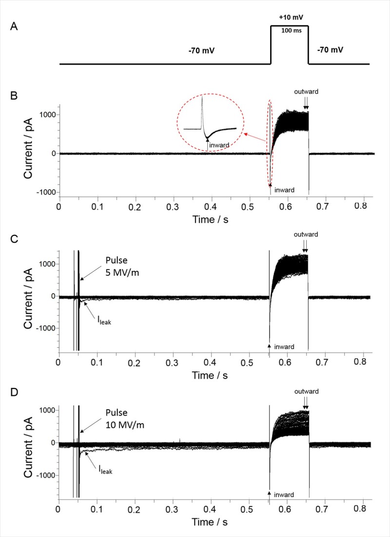 Fig 4