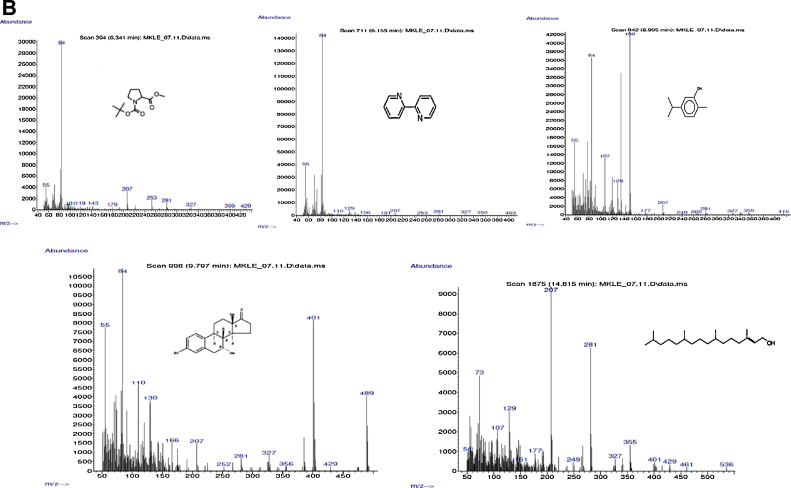 Fig. 7