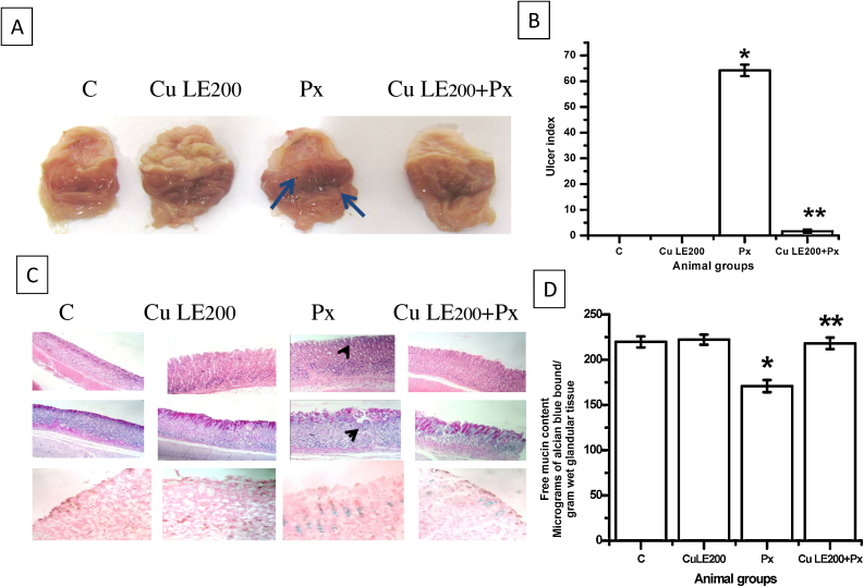 Fig. 3