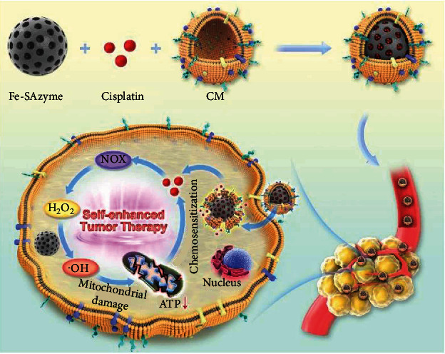 Scheme 1