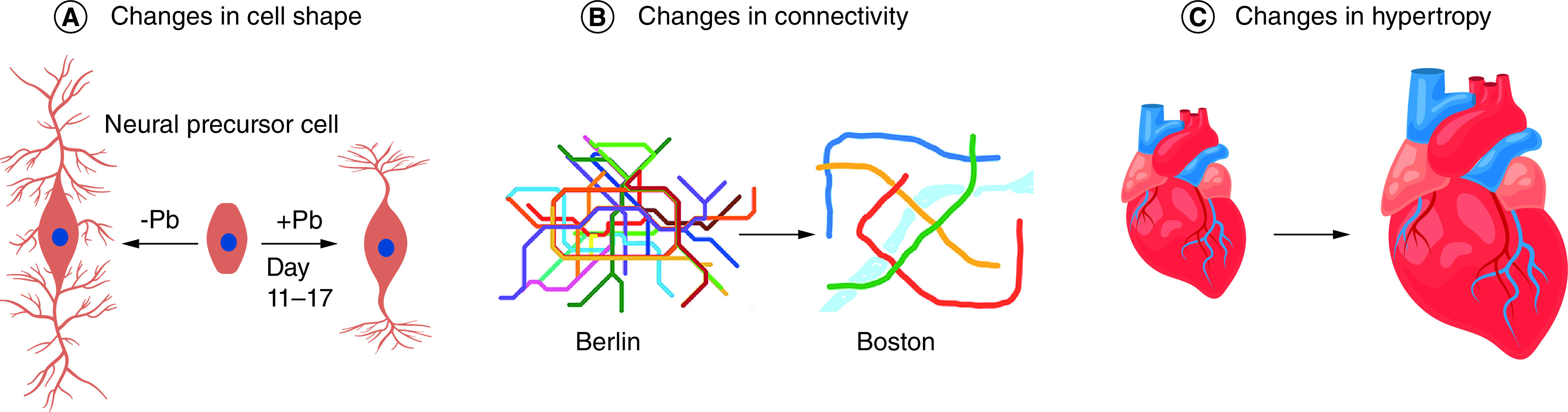 Figure 3. 