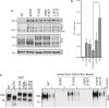 Extended Data Figure 7