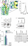 Extended Data Figure 2